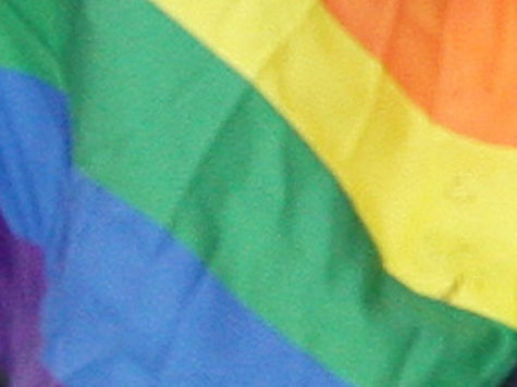 Депутаты Национальной ассамблеи легализовали однополые семьи
