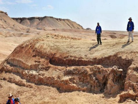Китайские палеонтологи объявили об уникальной находке