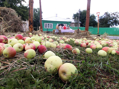 В Коломне прошел фестиваль “Антоновские яблоки”