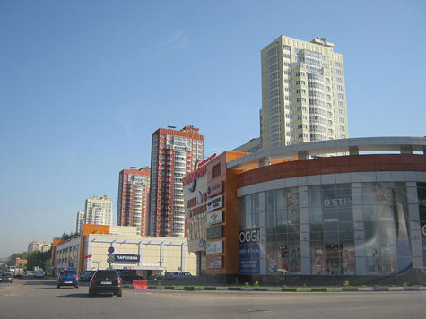 Авторы представленного на суд долгопрудненцев проекта сумели извлечь выгоду даже из соседства зоны отдыха