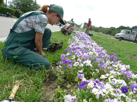 Писатель Сергей Устинов — чиновник Антон Кульбачевский