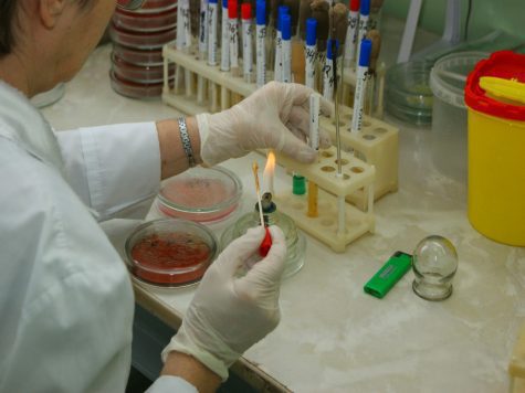 Нижегородские учёные проанализировали новейшие инфекции