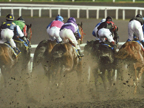 «МК» определил спортивные дисциплины, которых может постичь участь борьбы