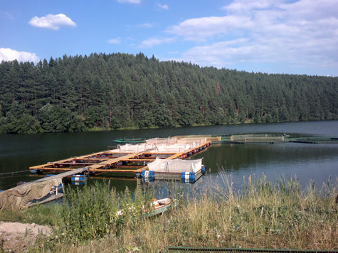 Михайловское водохранилище фото