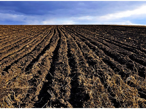 В Рязанской области начался «сезон» нелегального вывоза плодородных почв