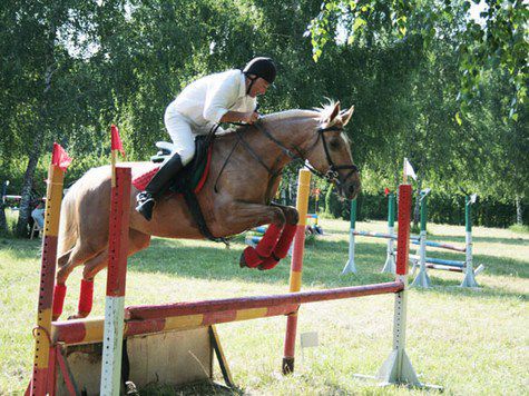 Открытое  личное первенство города Ставрополя 
по преодолению препятствий прошло в честь Дня Победы
