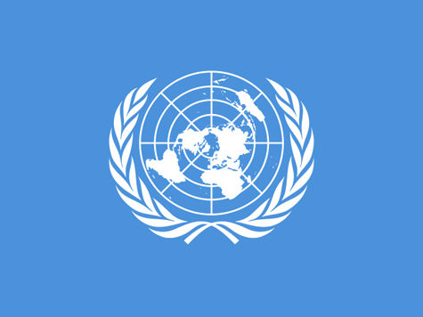 ООН ищет замену австрийским «голубым каскам», но не хочет контингента из России

