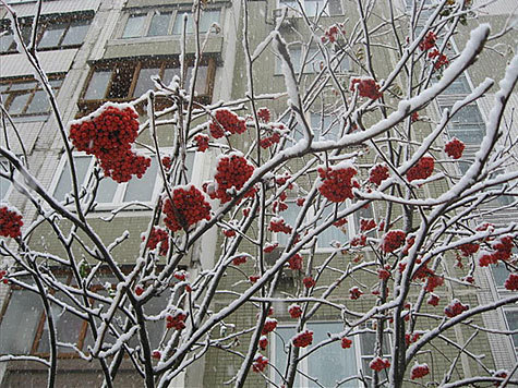 Вторая половина этой недели в московском регионе ожидается дождливой из-за подступающего циклона с юго-запада