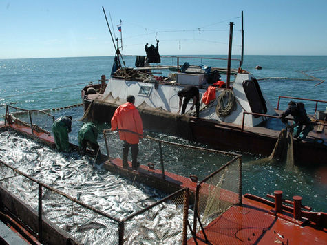 Главной темой VIII Международного конгресса рыбаков станет работа в условиях таможенного союза