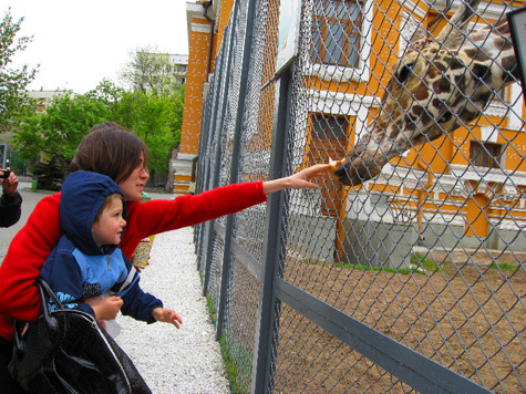 “МК” развенчал главные заблуждения посетителей Московского зоологического сада