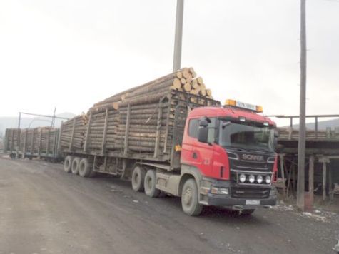 В Хабаровском крае забастовали работники лесопромышленного предприятия «Аркаим»