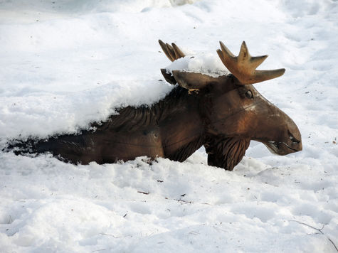 Парадокс века: потепление приведёт к увеличению снега в Сибири