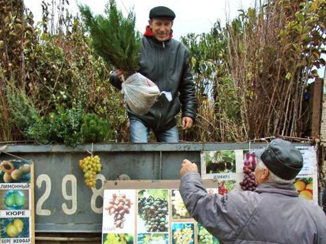 В Омске прошли ярмарки для земледельцев и дачников, на которых отмечено небывалое количество нарушений