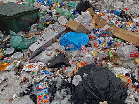 Следователи подозревают в организации нелегальной мусорной свалки порядка 10 полковников Минобороны