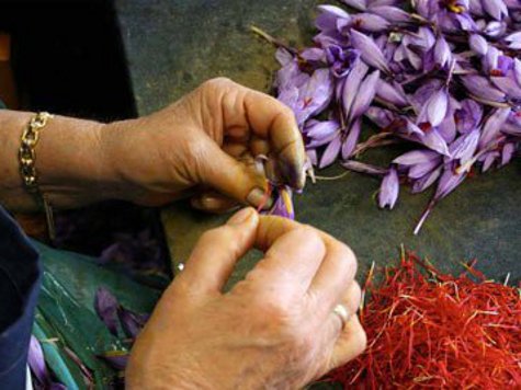 Исследовательская группа использовала растение для создания нового препарата