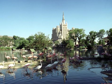 Вантовый мост между “старой” и “новой” территориями Московского зоопарка будет построен к его 150-летию