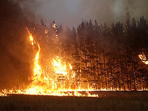Сколько лет сгорело. Пожары 2010 года в России. Природные пожары в России (2010). Россия 2010 год Лесной пожар. Пожары в России летом 2010.