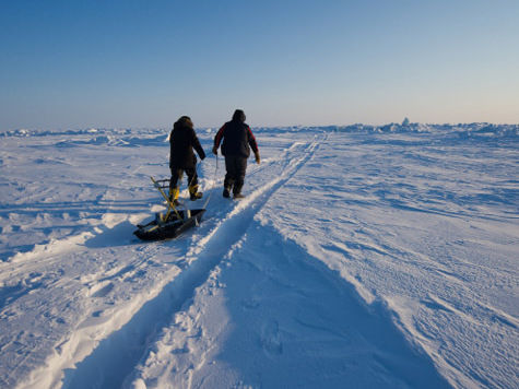 Вместо ветхих «избушек» у ученых на острове Самойловский появилась настоящая арктическая база 
