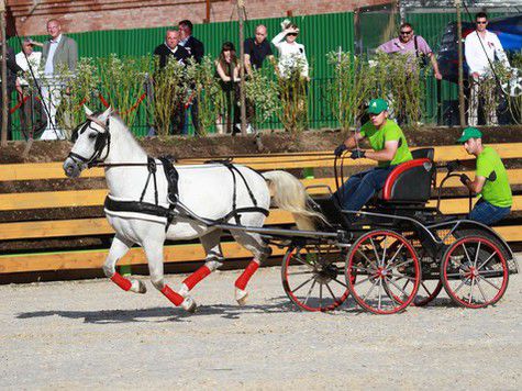 Принять участие в проекте, не имеющем аналогов в мире, могут представители малого и среднего бизнеса