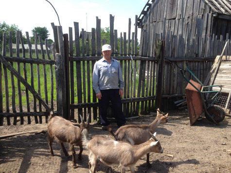 В Шатурском районе нашли отличный способ, как избавиться от единственного фермера в городском поселении