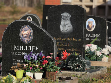 В Петербурге можно похоронить любимого питомца в дорогом гробу и с оркестром