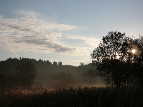 Репортер «МК» поработал переписчиком в лесу
