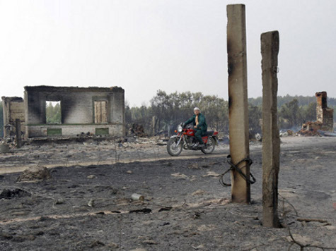 Только в Волгоградской области за сутки сгорело более 500 домов