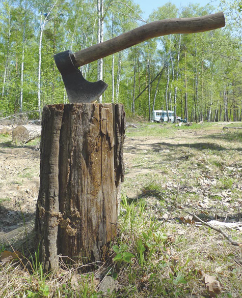 Как чиновник Рослесхоза Дмитриев подмосковные леса защищал