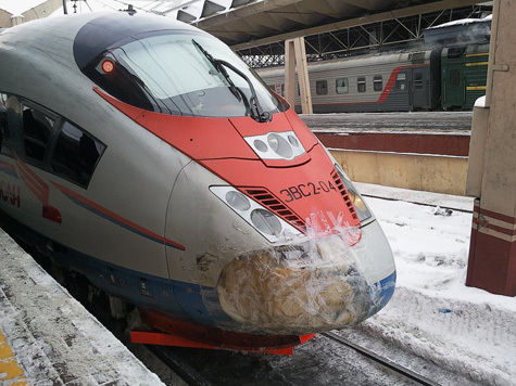 Житель Подмосковья своим телом сломал нос мчавшемуся скоростному поезду