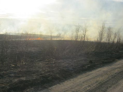 В Карелии зарегистрированы первые лесные пожары