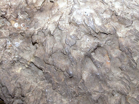 Огромный метеорит нашел недавно в степи Астраханской области, недалеко от поселка Харабали, местный житель