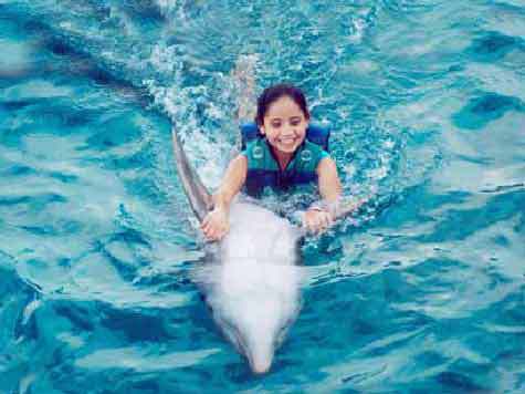 Эксперты предложили относиться к дельфинам как к "личностям" и уважать их права на жизнь и свободу