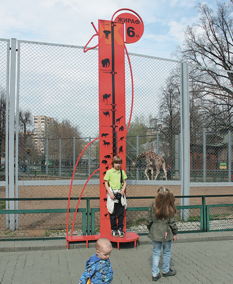 Ростомер, по которому можно сравнить размеры жирафа с другими животными, появился рядом с вольером длинношеего в Московском зоопарке
