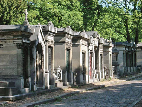 В Московской области появится межмуниципальное кладбище