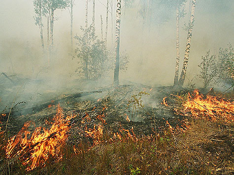 Зубков позвал Генпрокуратуру оценивать подготовку к лесным пожарам