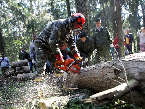 Подмосковные чиновники убрались в лесу