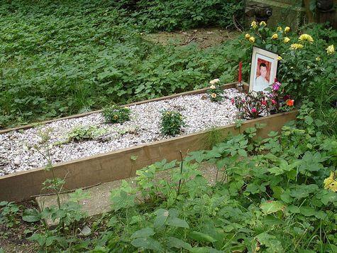 Вдова бывшего офицера ФСБ Александра Литвиненко, отравленного в 2006 году полонием-210, обвиняет власти Великобритании и России в том, что они пытаются скрыть истинные причины смерти ее мужа
