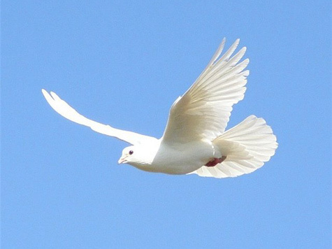 Эксперты по примирению появятся среди... уголовников