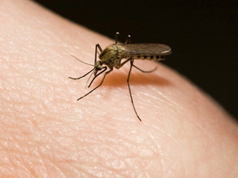 Специалисты советуют при путешествии в регионы ЮВА использовать спреи, отгоняющие комаров
