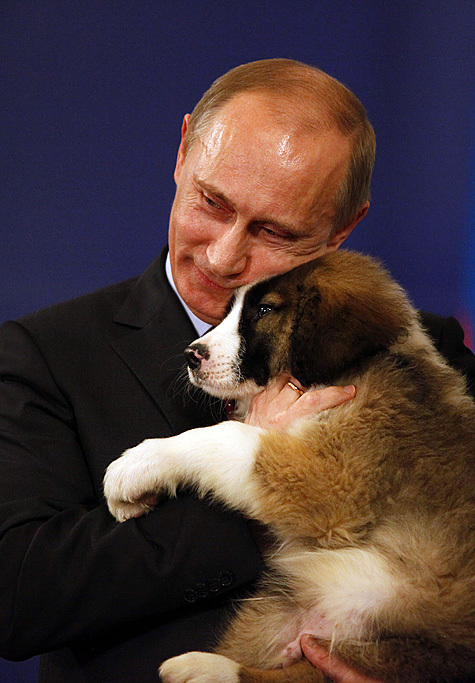 На предложение премьера Владимира Путина выбрать кличку для его новой собаки с энтузиазмом откликнулись жители России