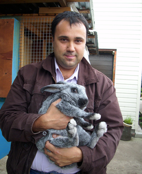 На биржу пришел — “жирных” кроликов нашел