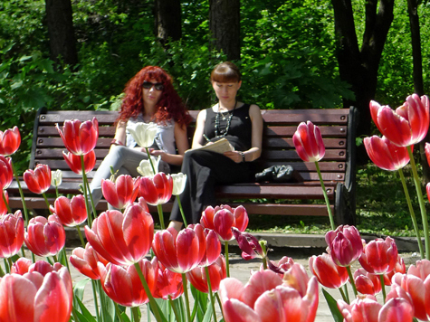 На московском фестивале садов представят новый цветок, названный в честь ЦПКиО