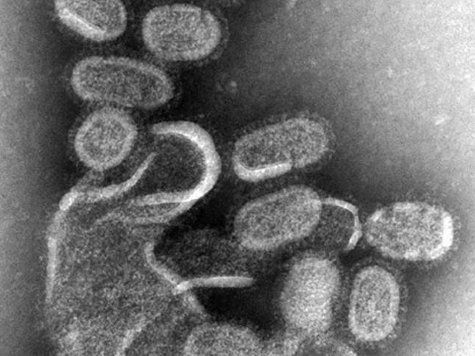 Германские ученые взяли не сам вирус, а его мРНК