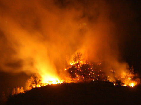 Борцы с лесными пожарами в скором времени возьмут на вооружение новое средство против огня