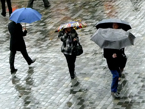 Настоящая осенняя погода ожидает москвичей на следующей неделе