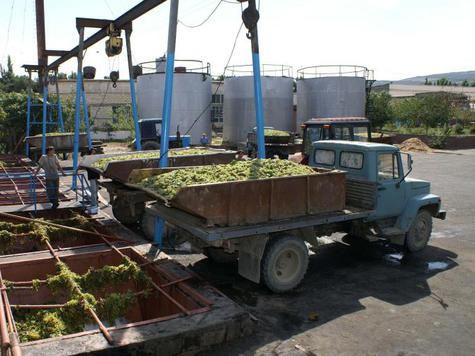 Становление и стратегия развития Дербентского завода игристых вин