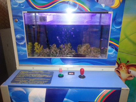 Игровой автомат аквариум игровые автоматы демо на счету 5000 рейтинг слотов рф