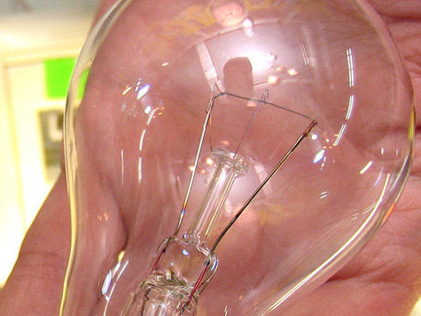 Лампу, работающую за счет бактерий, придумали студенты из Висконсинского университета (США)