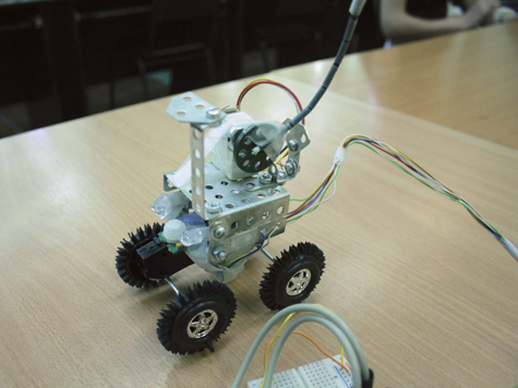 Биороботов, которые могут стать прототипами современных российских игрушек, создали студенты Нижегородского государственного технического университета