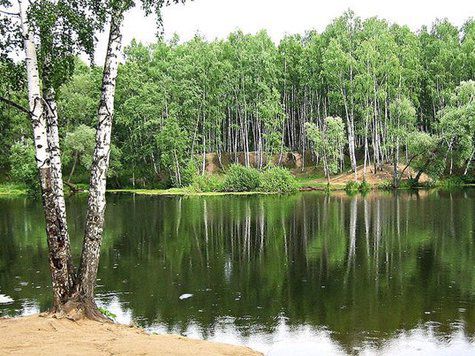 По приказу Сердюкова лесные угодья и «генеральское озеро» реализовали по ценам ниже рыночных ряду коммерческих компаний